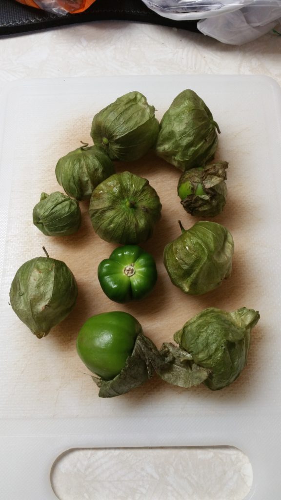These are the tomatillos that were in the bag.