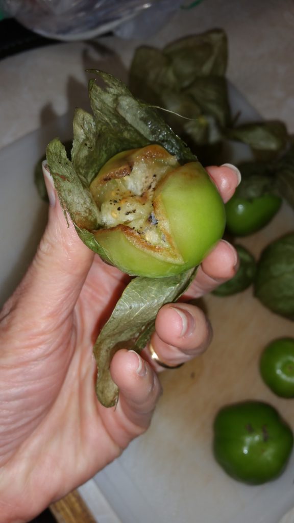 This looks like a dud tomatillo.