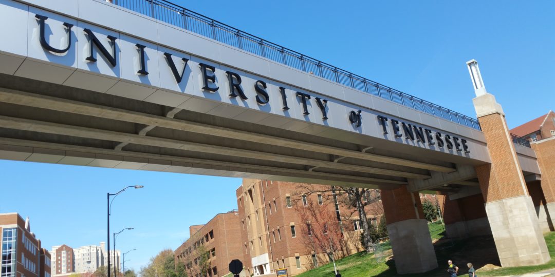 University of Tennessee--Knoxville