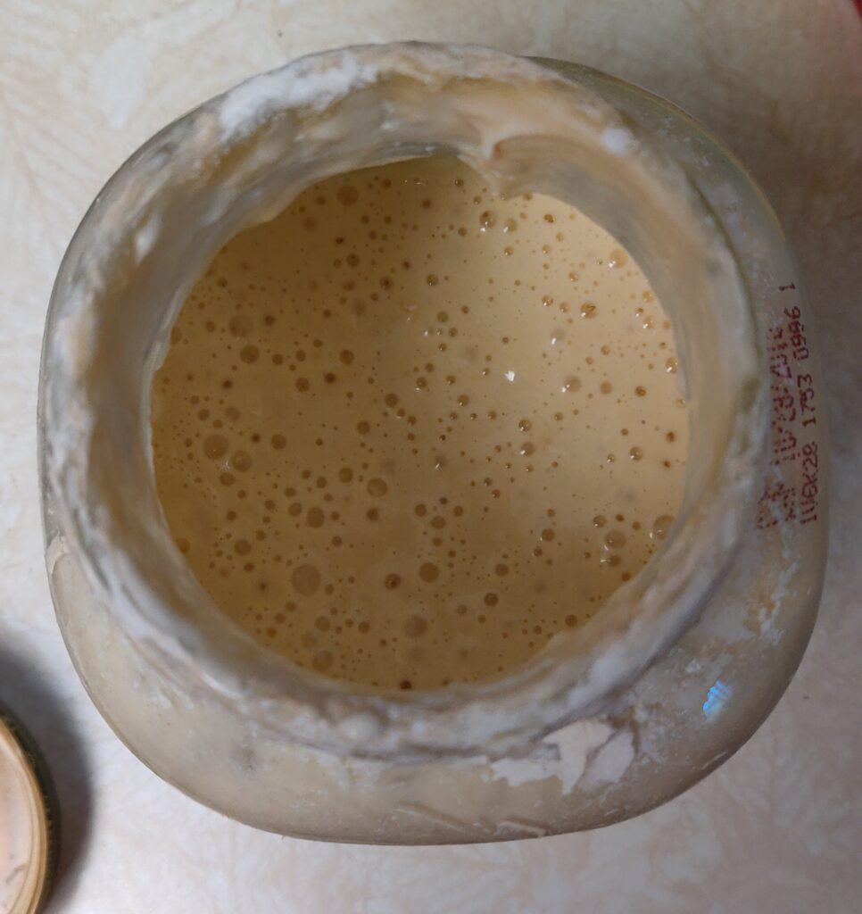 This is the sourdough starter--Nice and bubbly. The ingredients are flour and water.